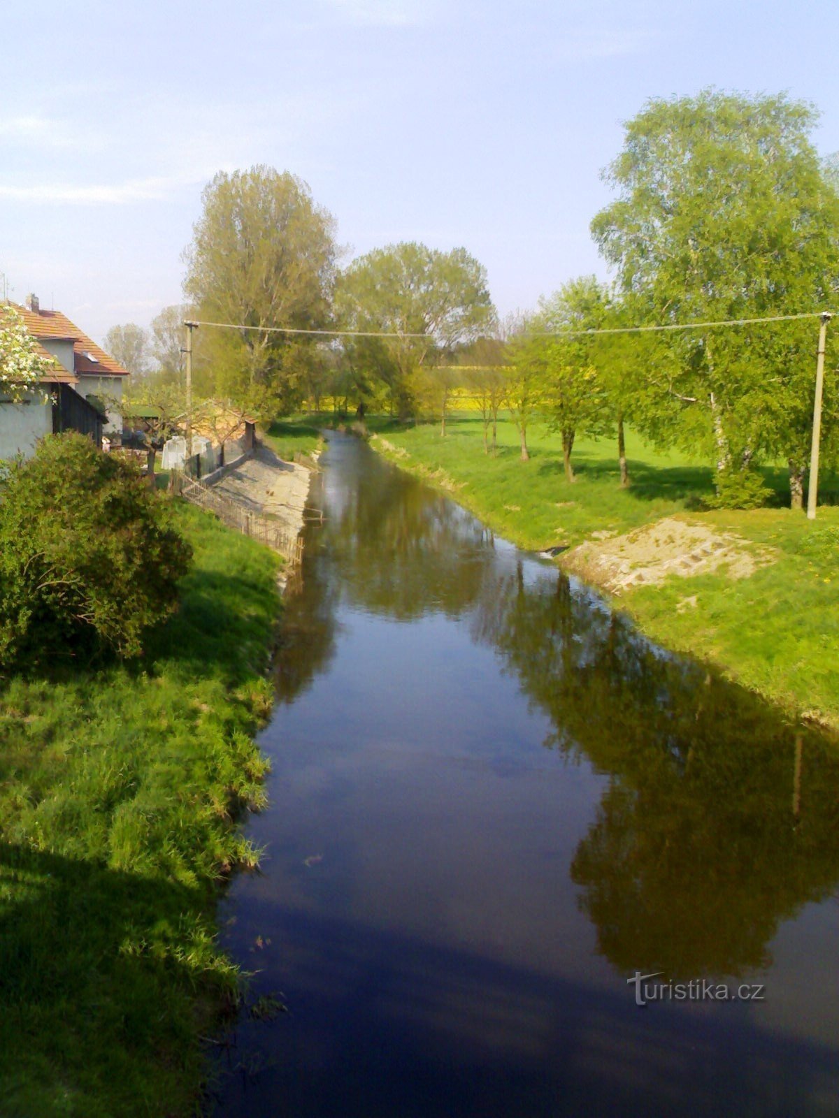 Rzeka Dziedina