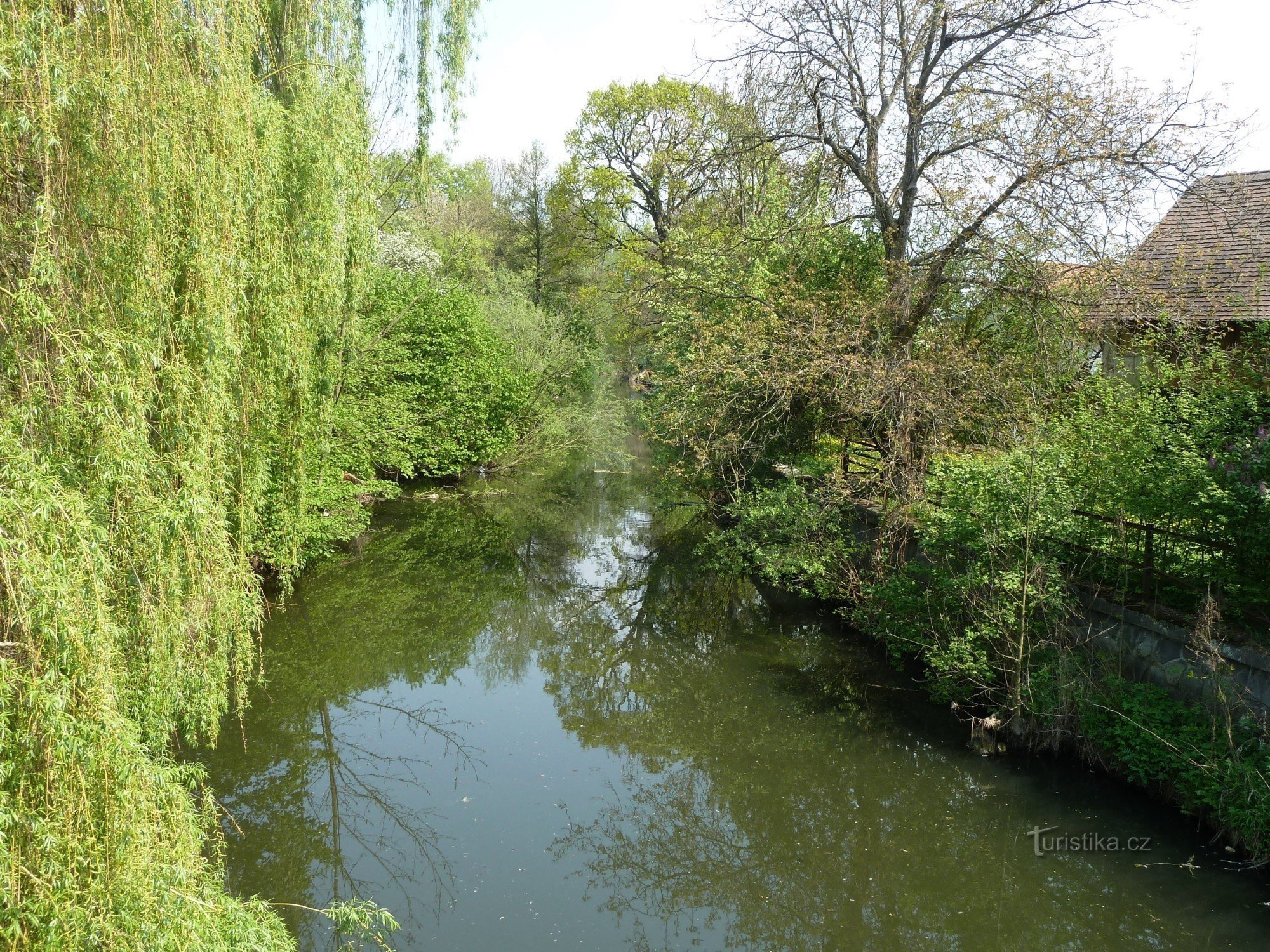 Dědina river