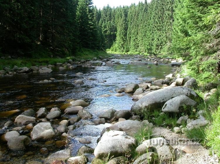 Jizera rivier op de grens met Polen