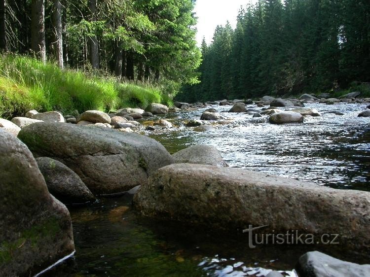 Jizera rivier op de grens met Polen, zicht naar het noorden