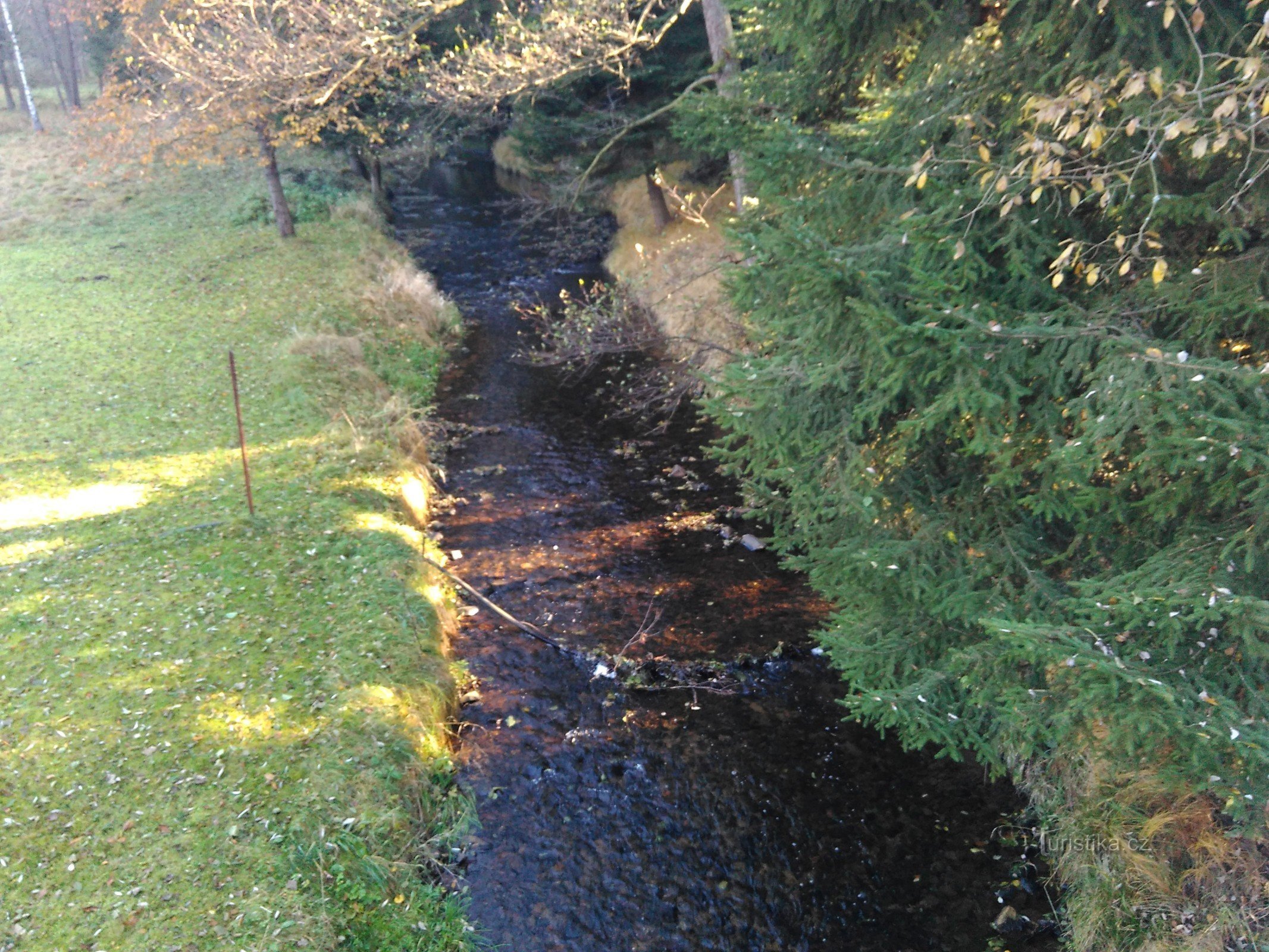 Kamenice floden