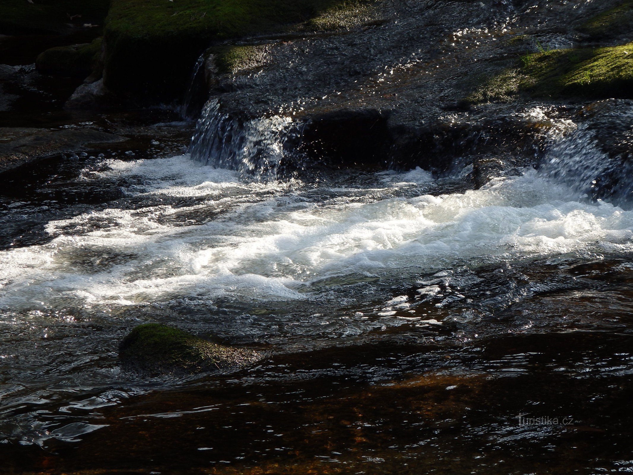 Kamenice Tanvaldská-Fluss