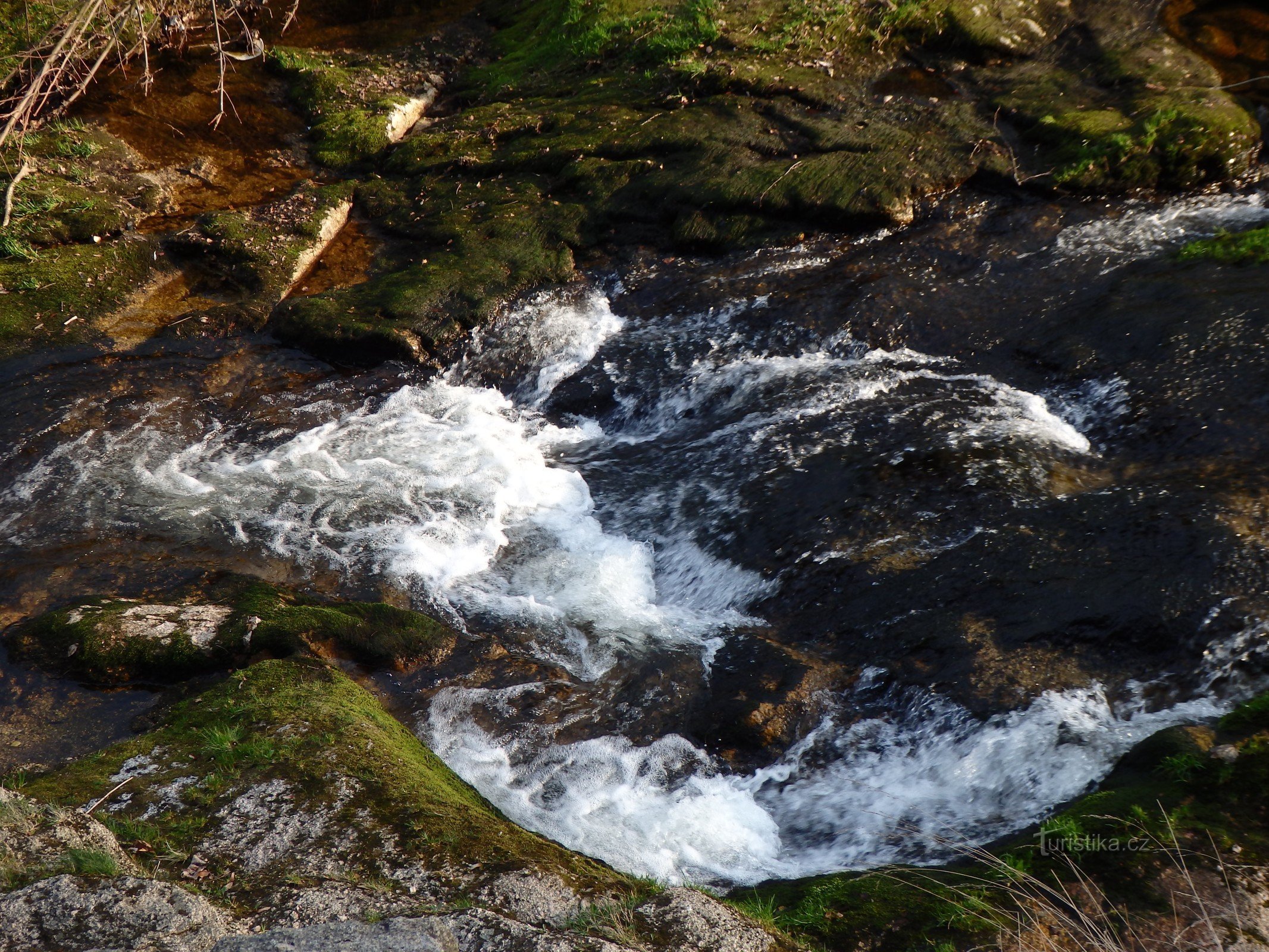 Kamenice Tanvaldská-Fluss