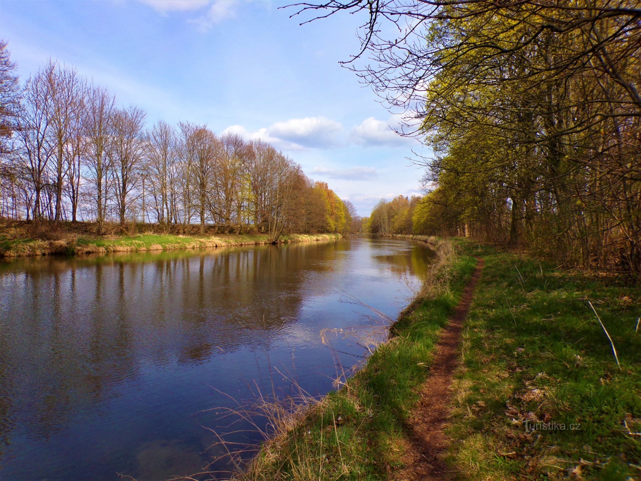 Řeka Labe (Skalice, 18.4.2022)