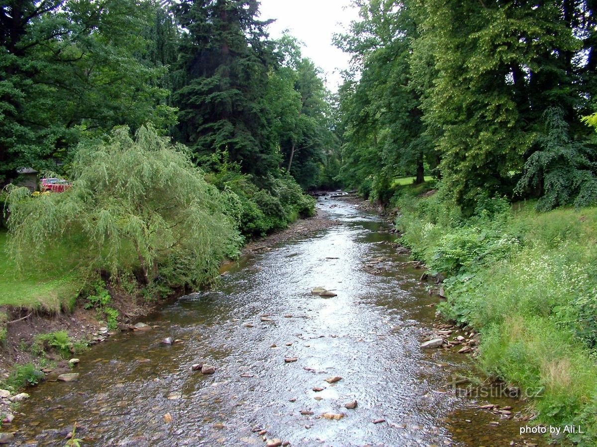 Fluss Lomna