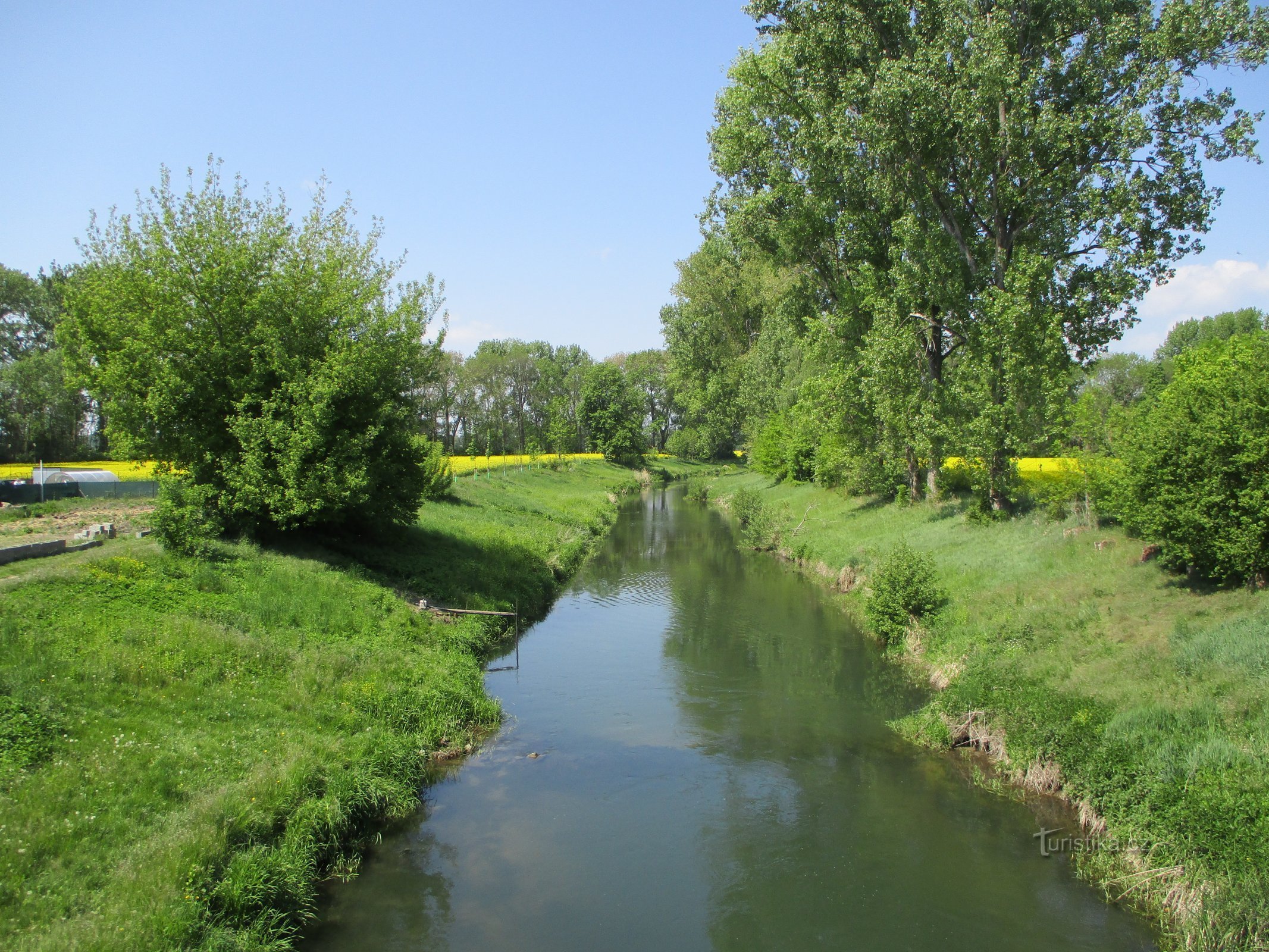 Râul Loučná (Lány u Dašice, 16.5.2020)