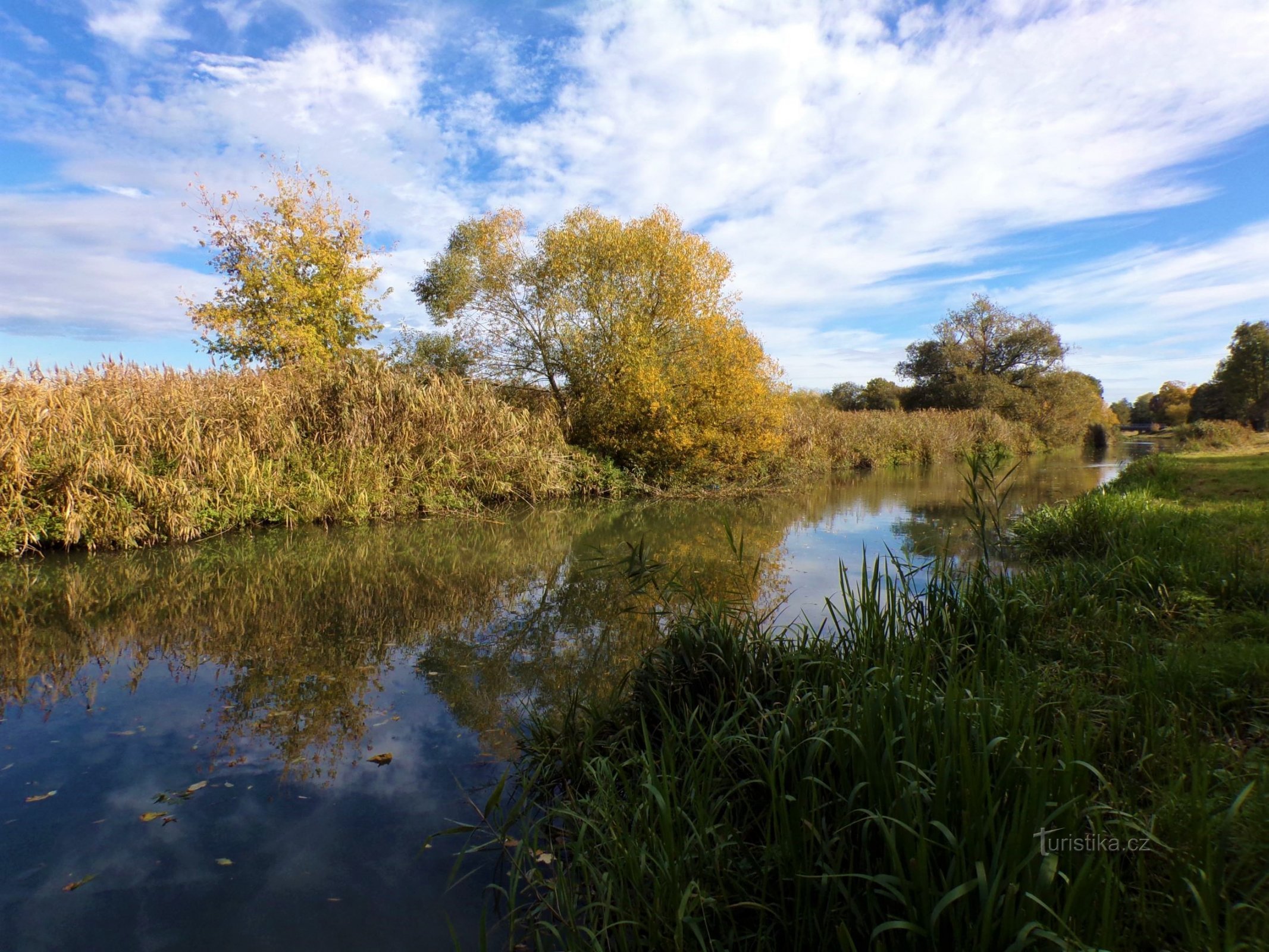 Fluss Loučná (Sezemice, 20.10.2021)