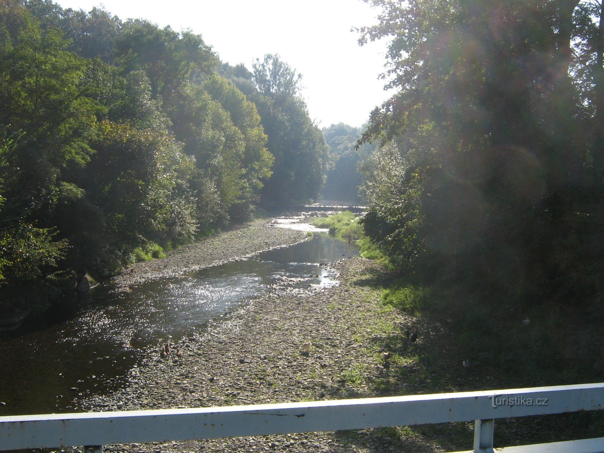 řeka Lubina