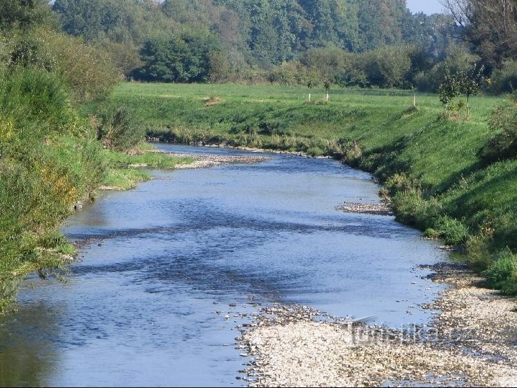 Lubina-Fluss in Košatka