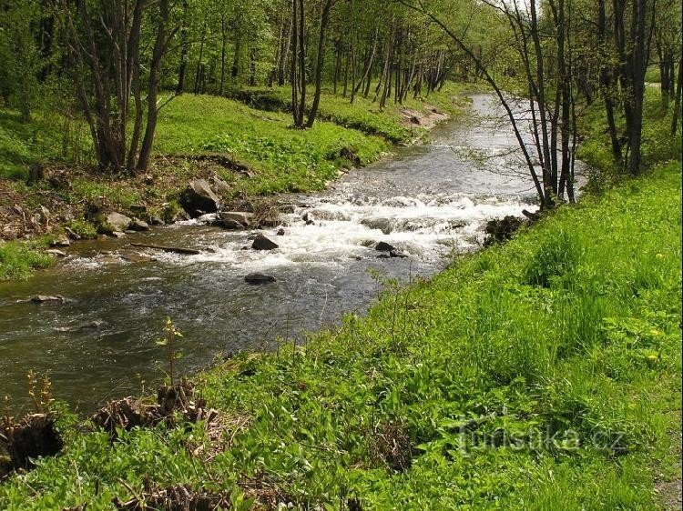 Sông Lučina