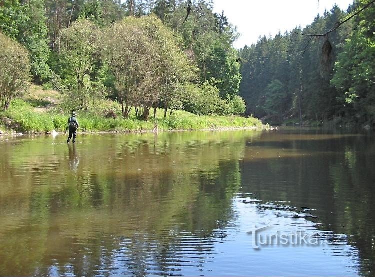 Der Fluss Malše in der Nähe der Kapelle