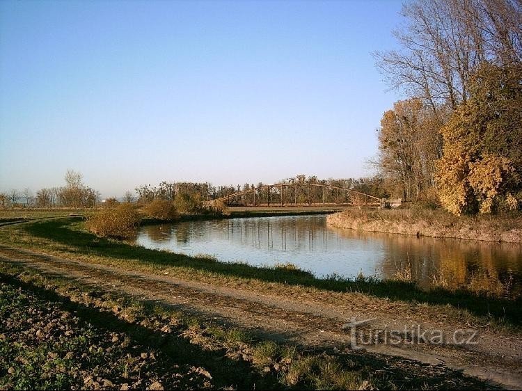 o rio Morava perto de Charvát (2005)