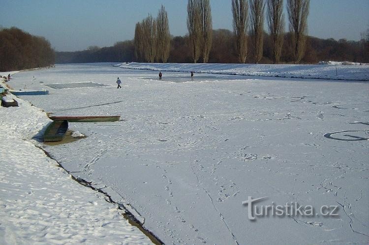 Rivière Morava à Hodonín, hiver 2006