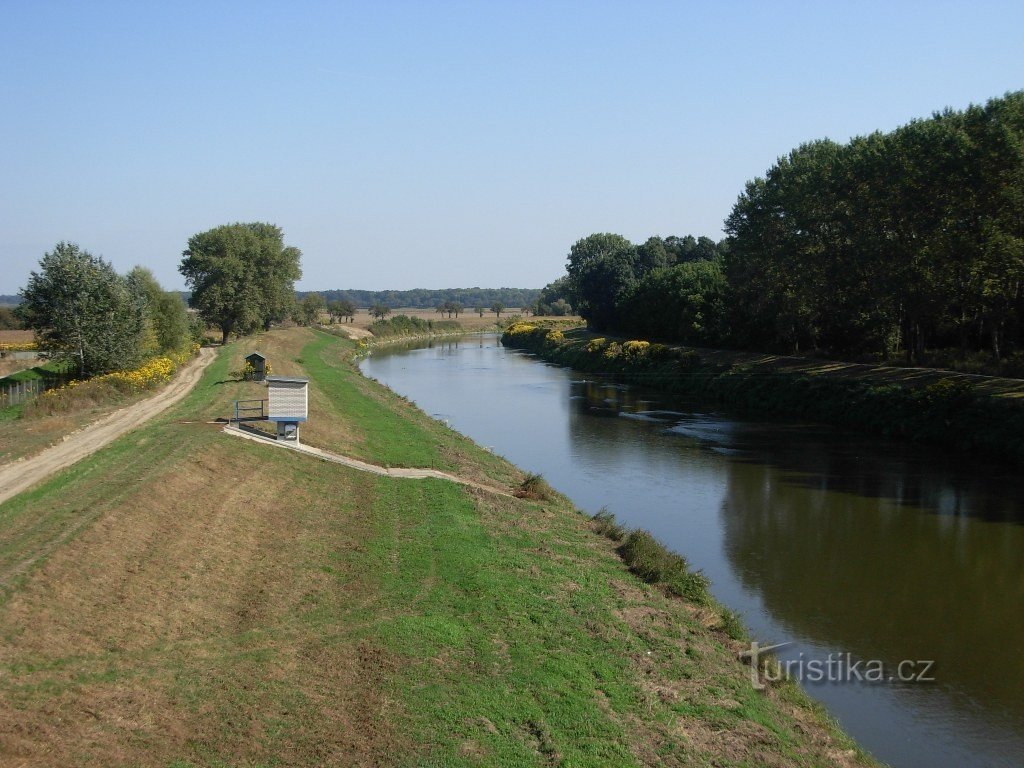 O rio Morava da ponte perto de Bzence-Přívoz
