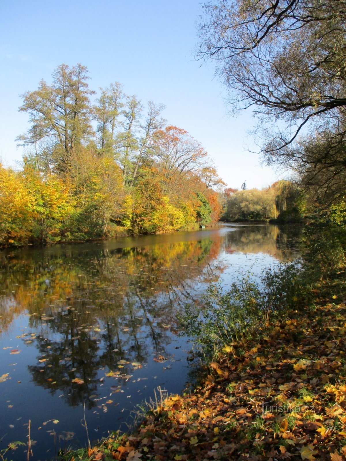 Orlice-joki kesäelokuvassa (Hradec Králové, 31.10.2019)