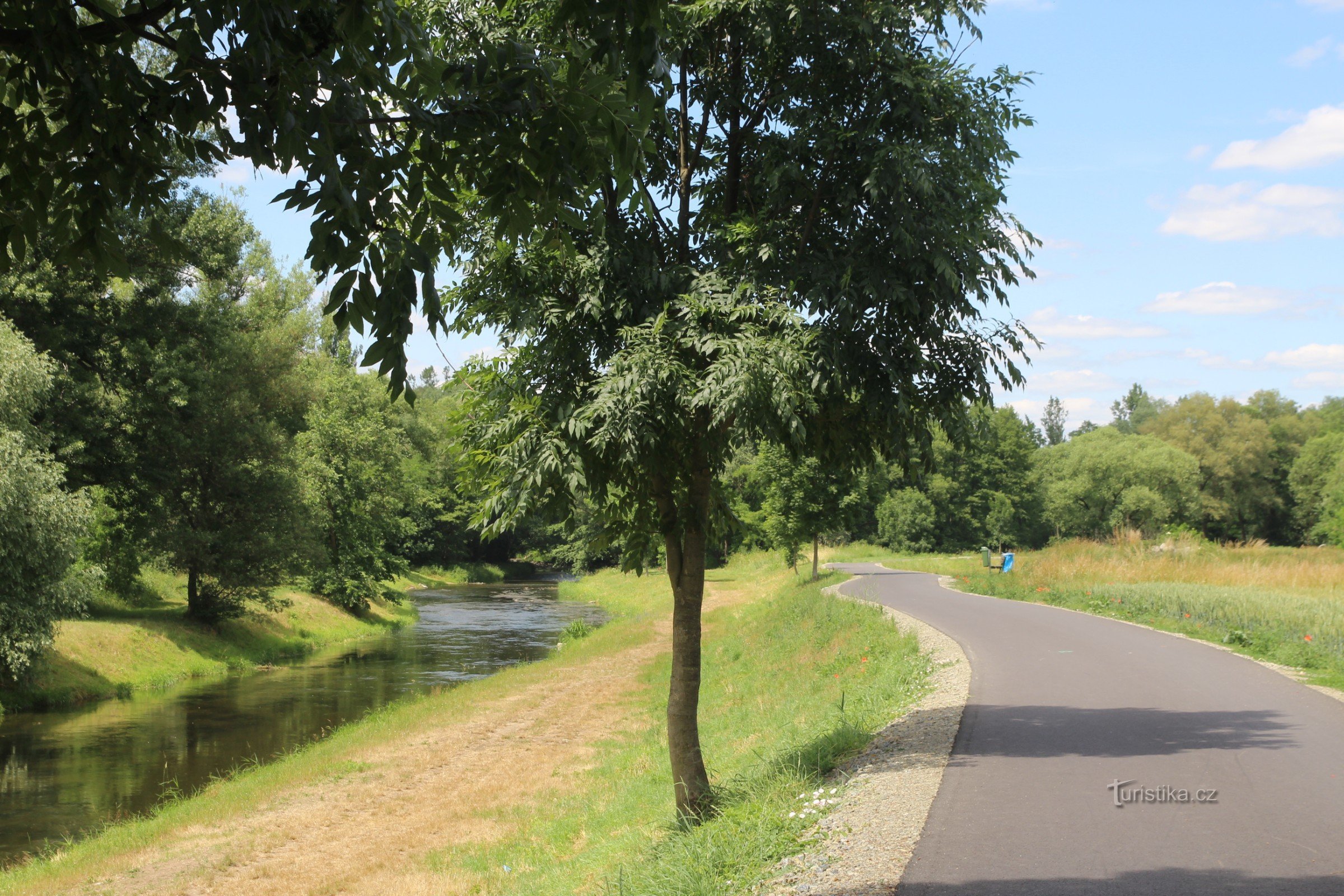 Floden Oslava ovanför sammanflödet av cykelvägen