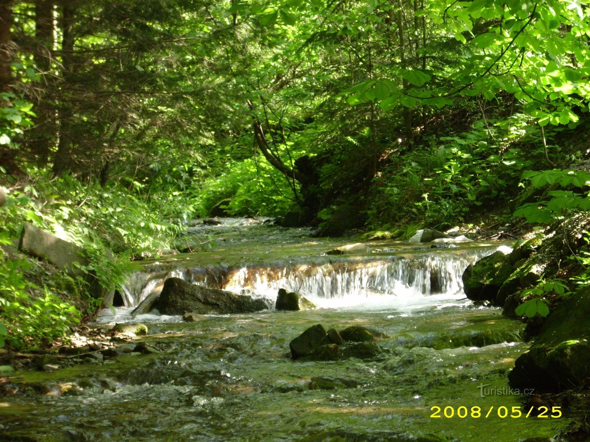 Fluss entlang der Straße