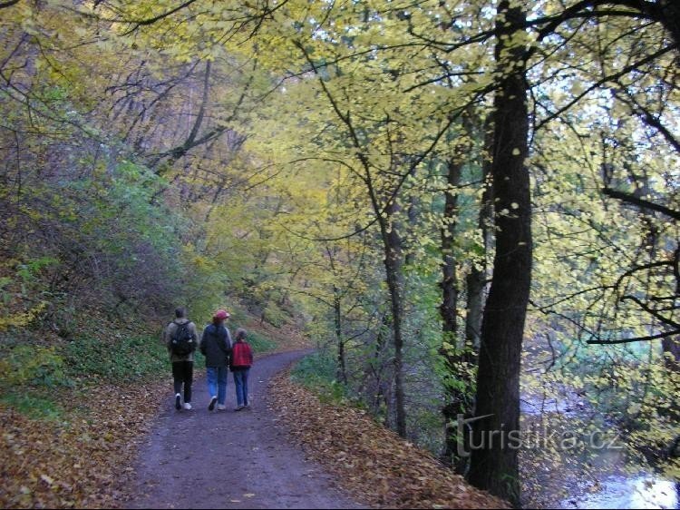 Fluss Svitava: Weg rund um den Fluss von Bílovice nad Svitavou nach Brünn