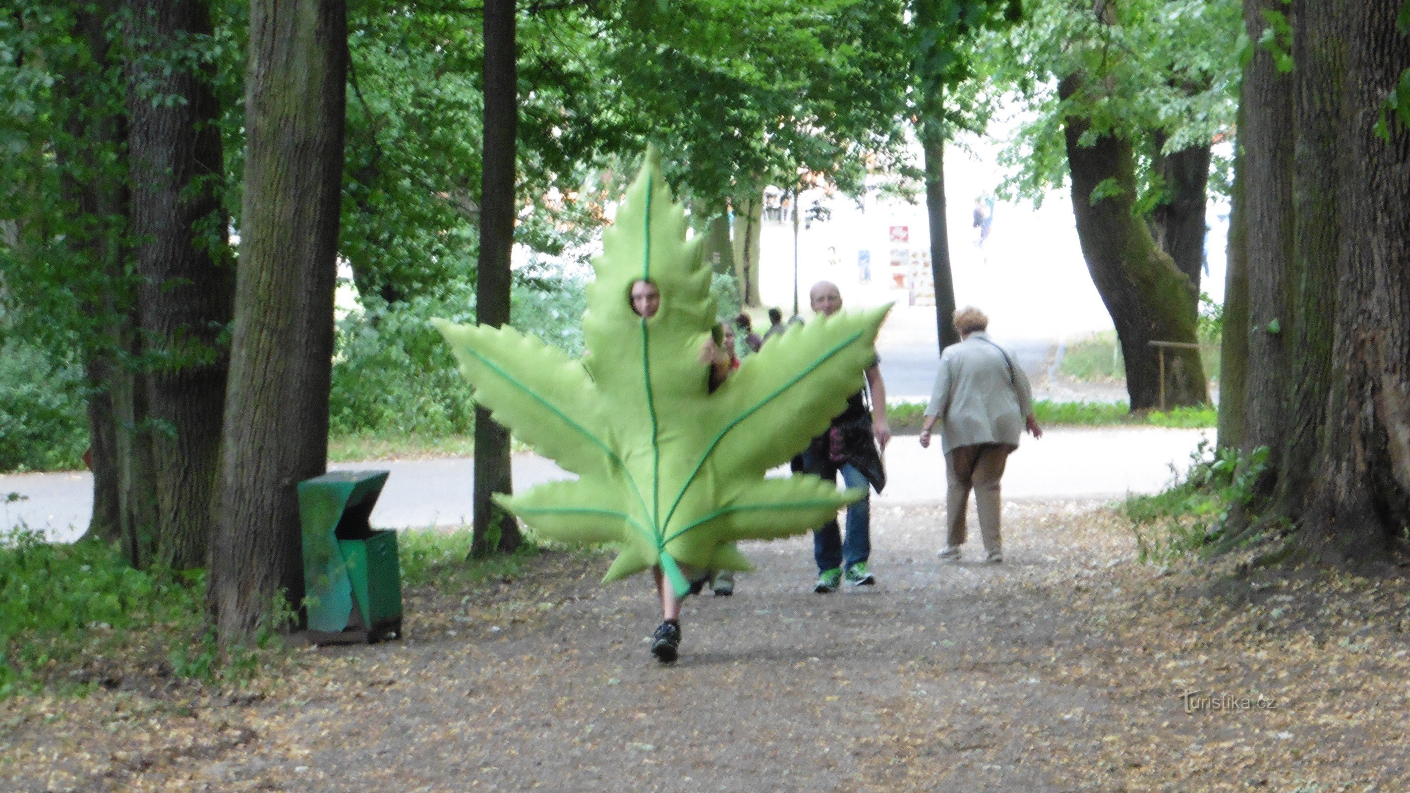 Publicidade de maconha