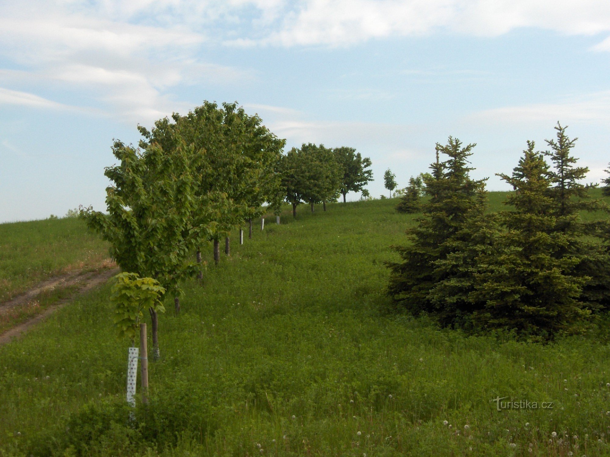 reclaimed landfill