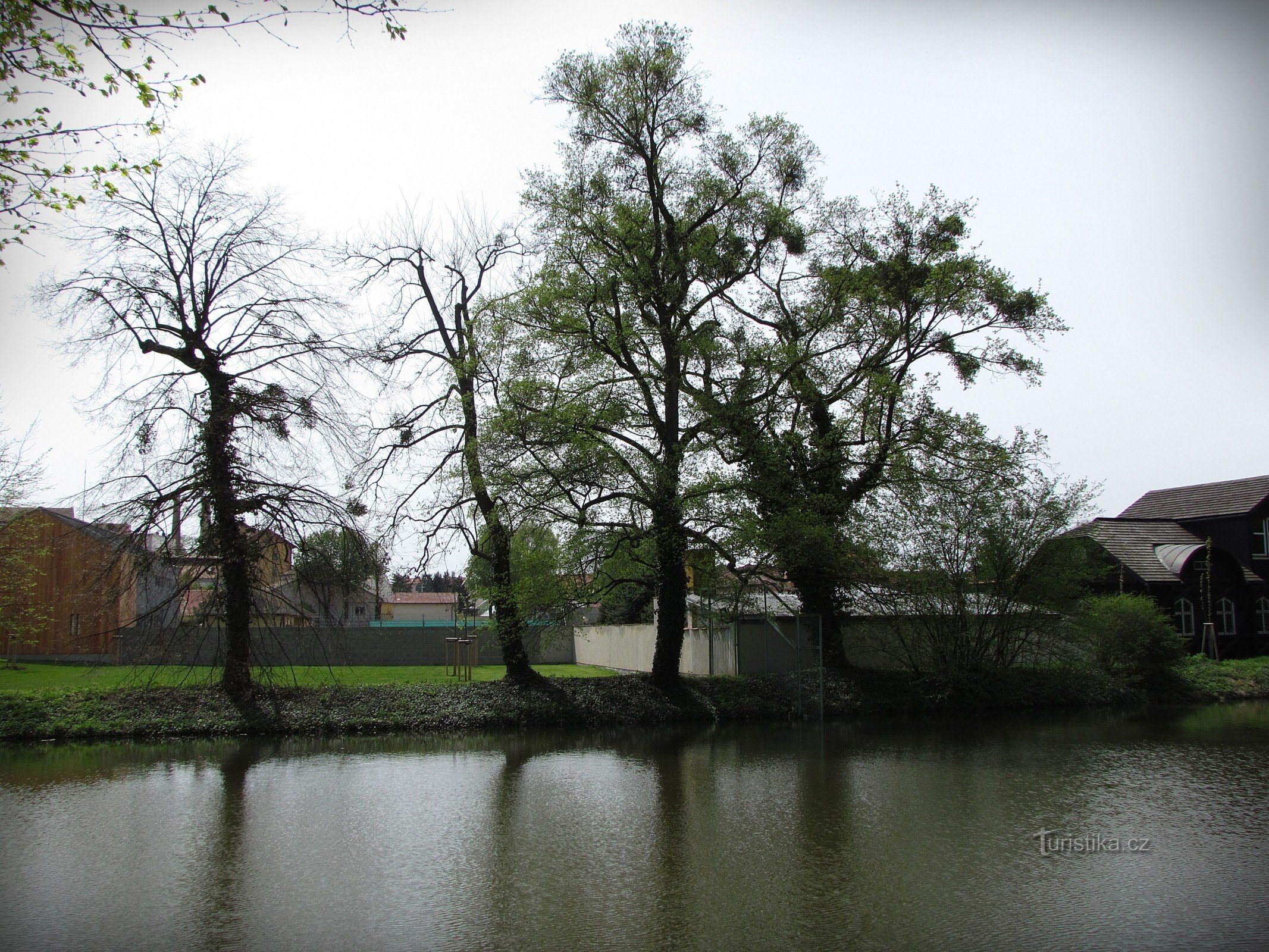 クロムニェジーシュのポザメツカ庭園にある長い池でリラックス