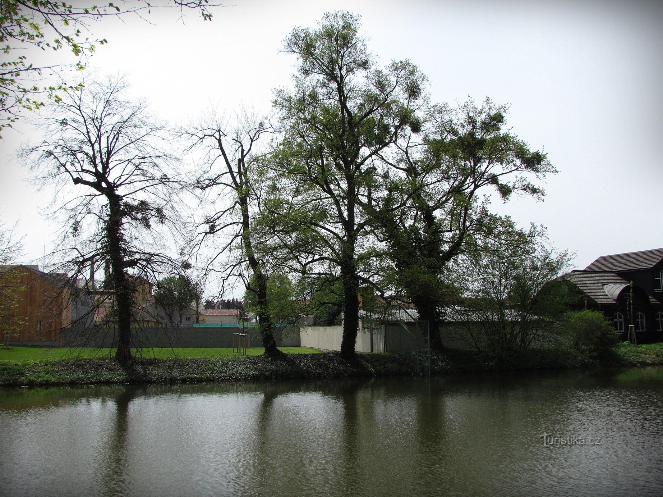 Relaxamento no Long Pond no Jardim Podzámecká em Kroměříž