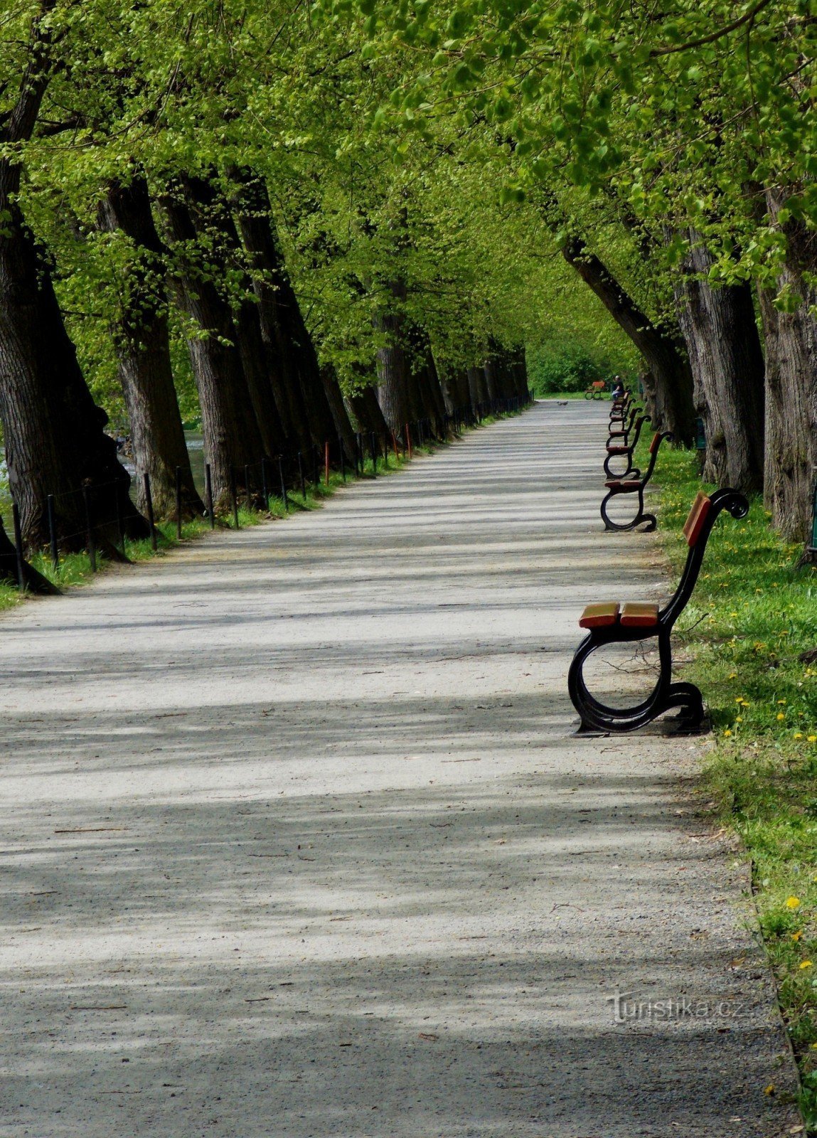 Relajación en el Estanque Largo en el Jardín Podzámecká en Kroměříž