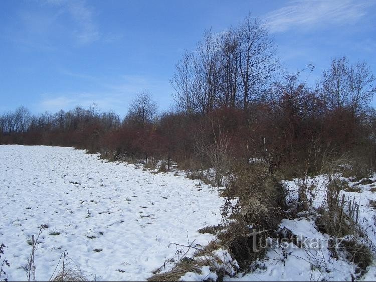 legături pe marginea Kamenná