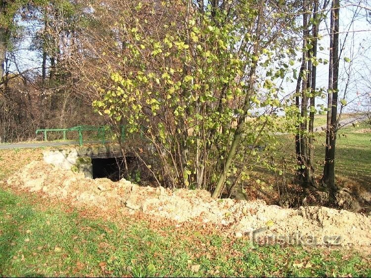 Rode biet: De trog is droog