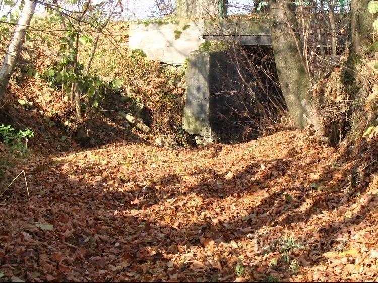 Rode biet: De trog is droog