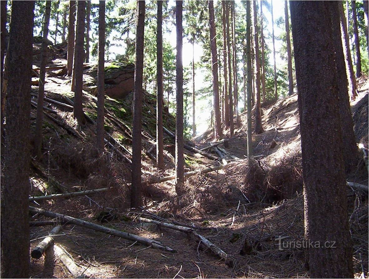 Rešov - borggrav i den nordlige del af slottet - Foto: Ulrych Mir.