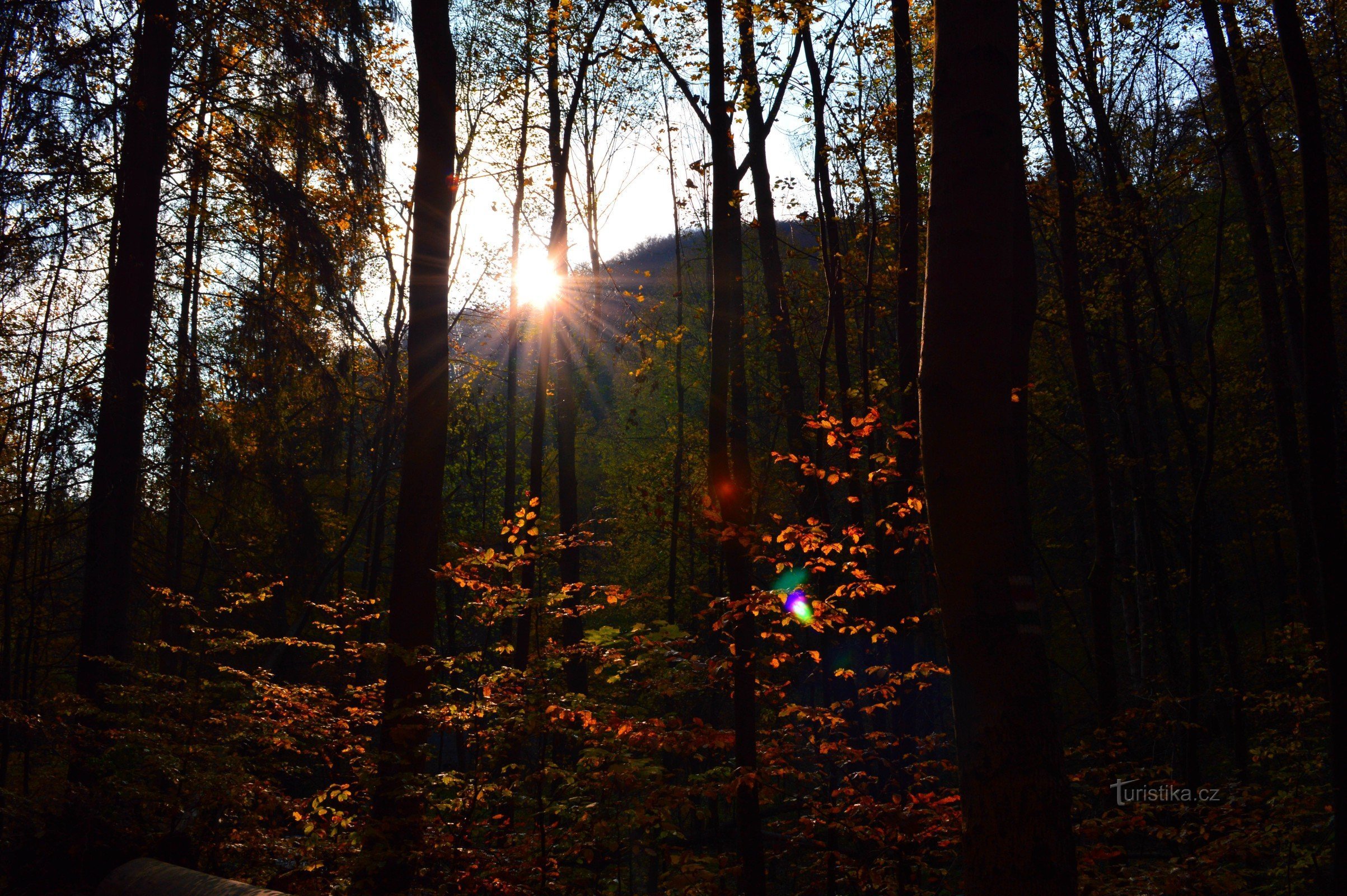 Rešov waterfalls in autumn