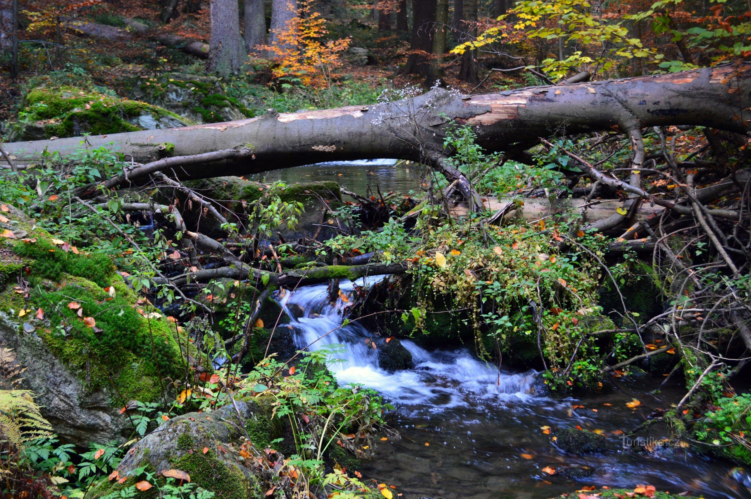 Rešov waterfalls in autumn