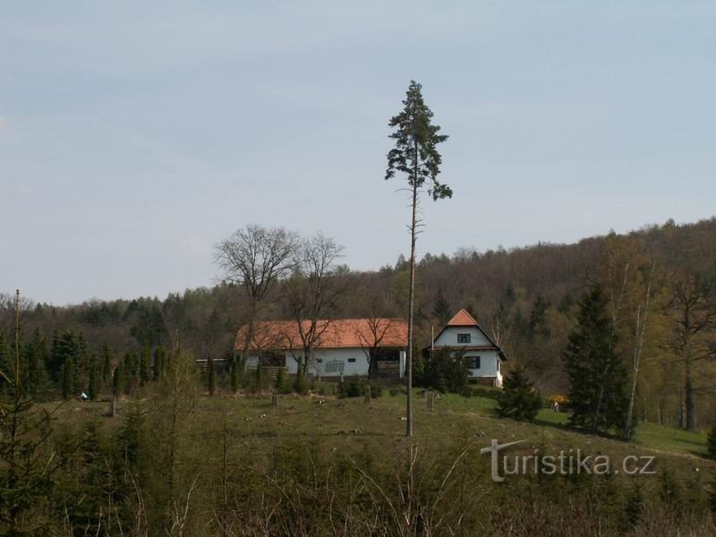 Bosque de Ressel