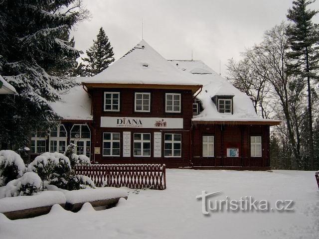 Restoran Diana 2: Restoran je zamišljen kao lovački šumski dom koji bi