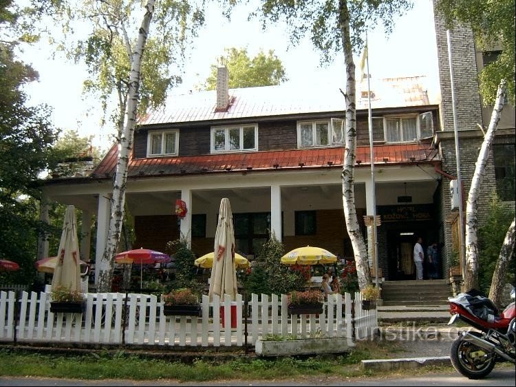 Restaurant: Restaurant under the lookout tower