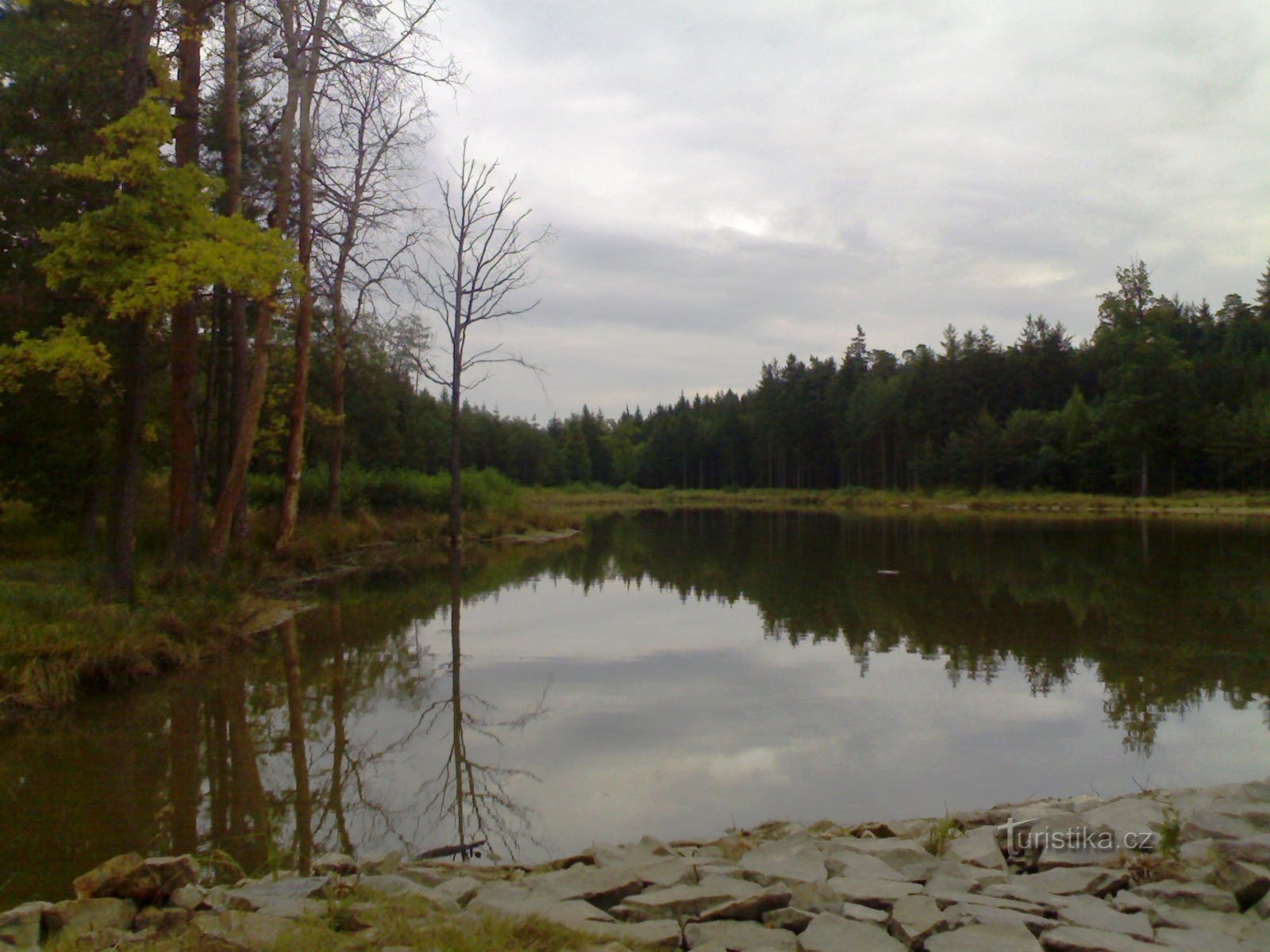 Retentionsreservoir Cesta myslivců - Hradecké lesy