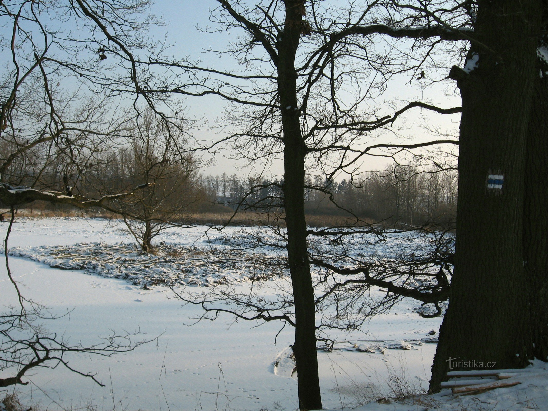 Revitalisierung von Dolejší rybník - Februar 2012