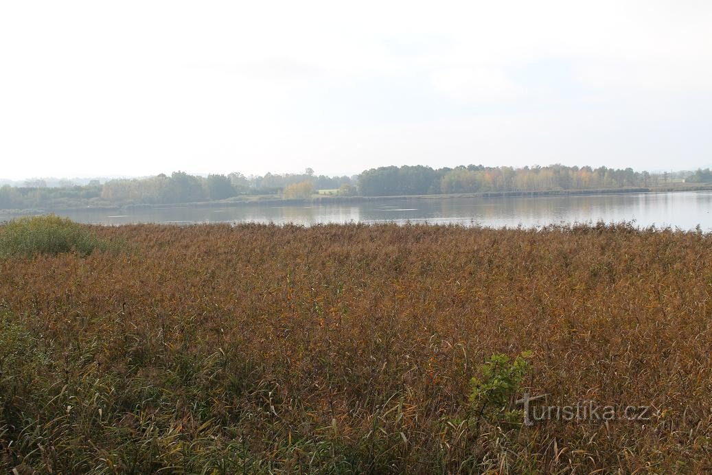 Řežabinec, Blick auf den Teich vom Aussichtsturm