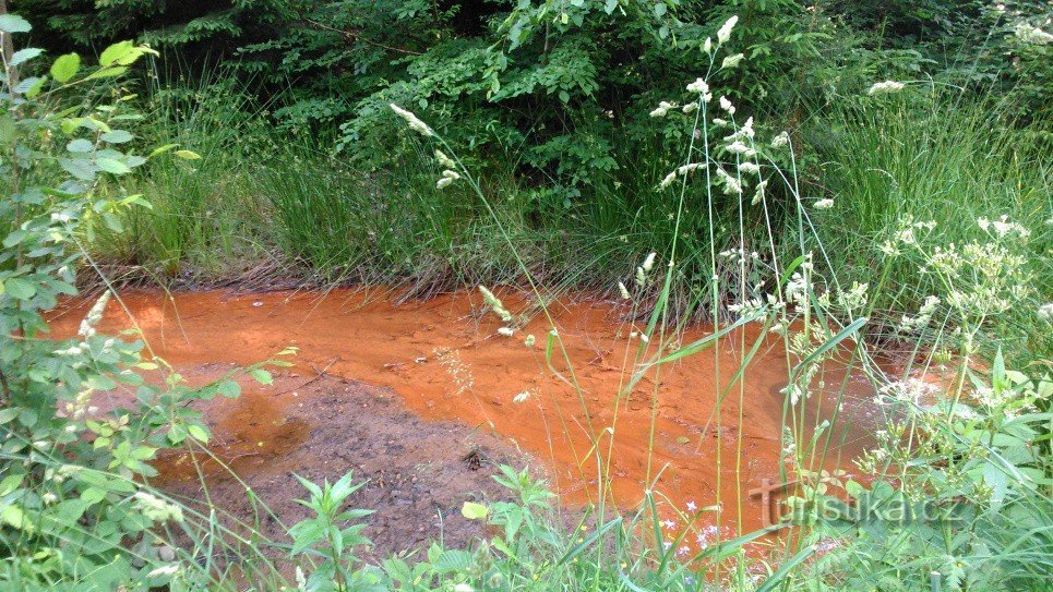 Ruisseau rouillé par le chemin forestier