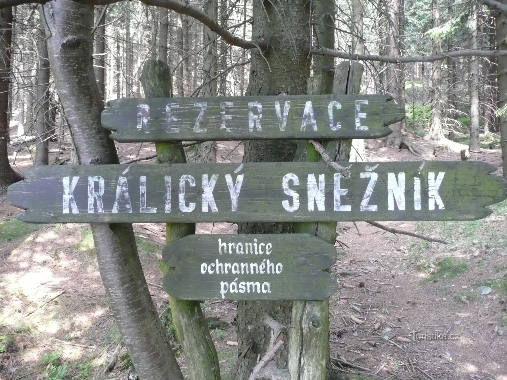 Rezerwacja Kralicki Śnieżnik