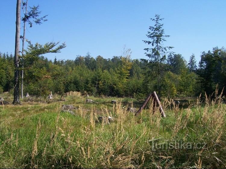 Buchung: Buchung anzeigen