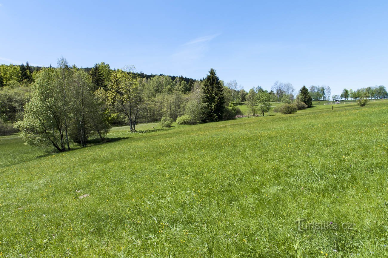 Prenotazione Přemyslov