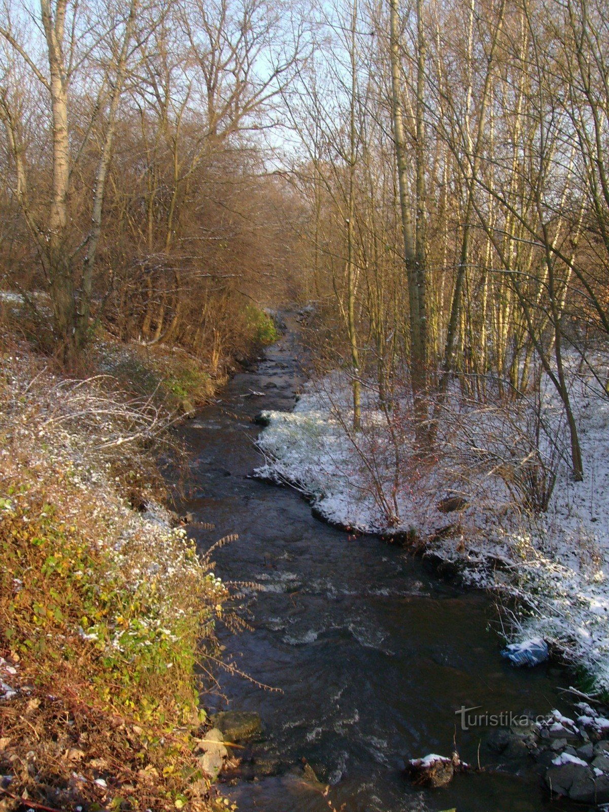 Říčanka în Dubča