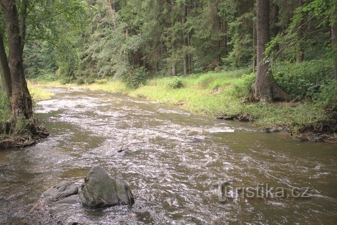 Říčka Bobrůvka pri Podmitrovu