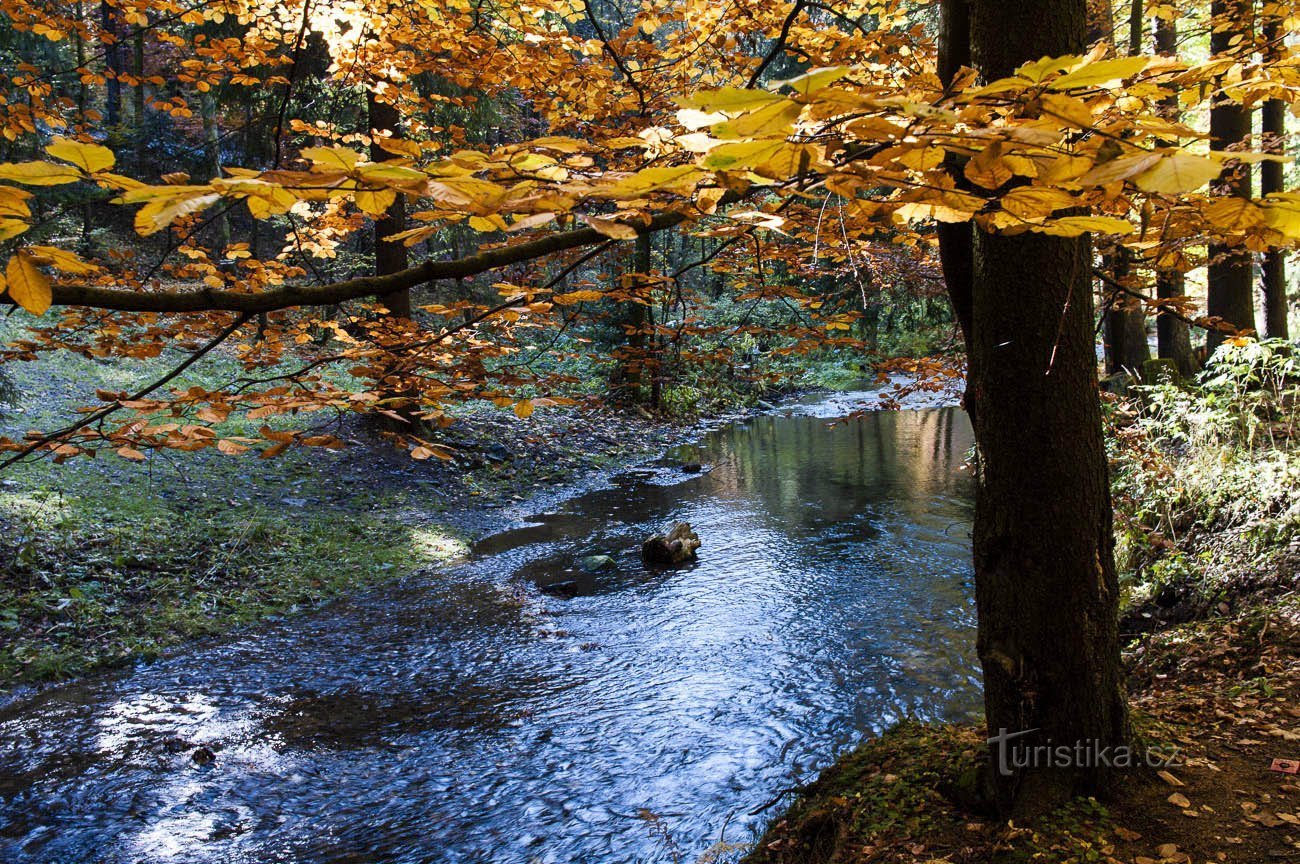 Fluss Branna