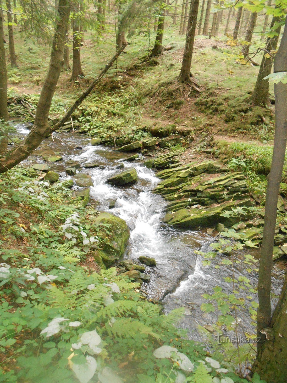 the Bystrá river lives up to its name