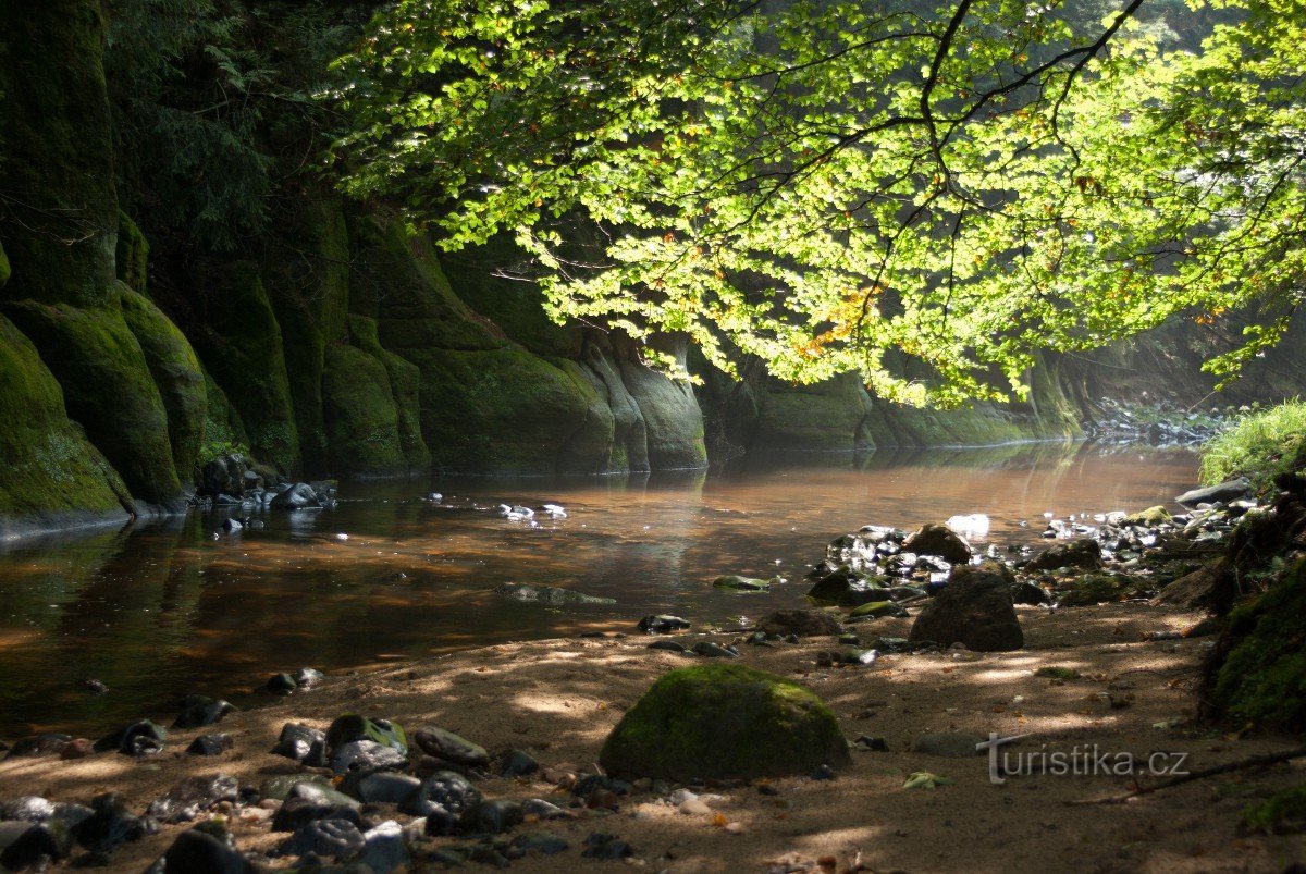 Fluss Chřibská kamenice