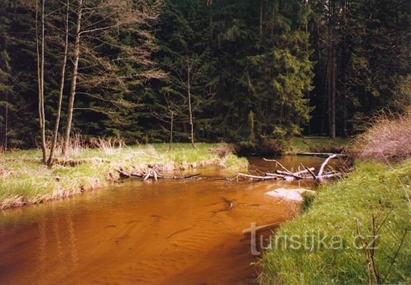 River Dračice