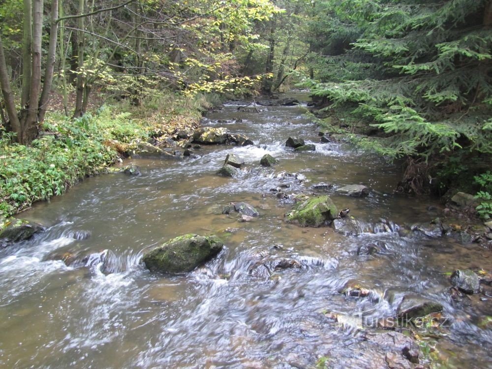 Rivière Halda